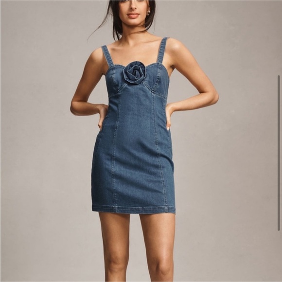 Anthropologie Porridge Denim Rosette Chambray Mini Dress - Picture 3 of 8